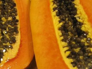 Papaya